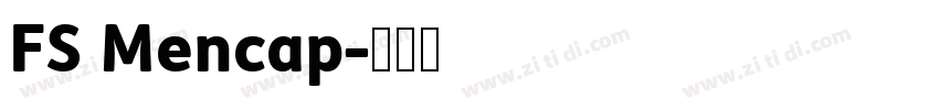 FS Mencap字体转换
